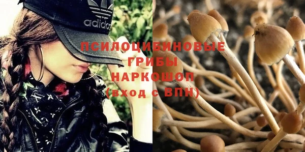 каннабис Армянск