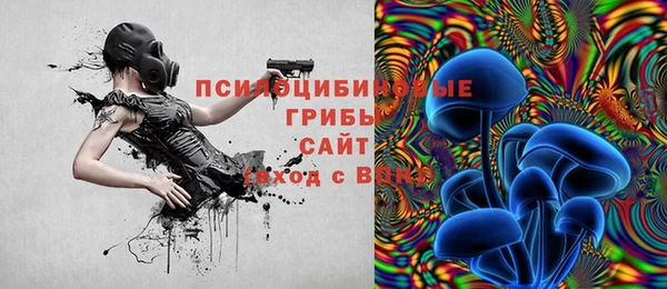 синтетический гашиш Алексеевка