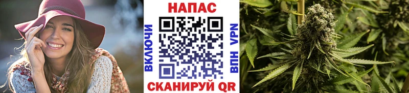 Шишки марихуана индика  Обоянь 